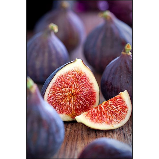Fig